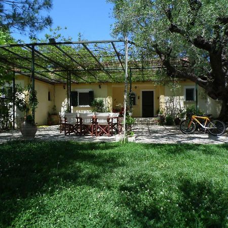 Theni Olive Grove Villa Kato Yerakarion Екстериор снимка