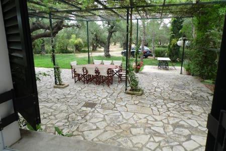 Theni Olive Grove Villa Kato Yerakarion Екстериор снимка