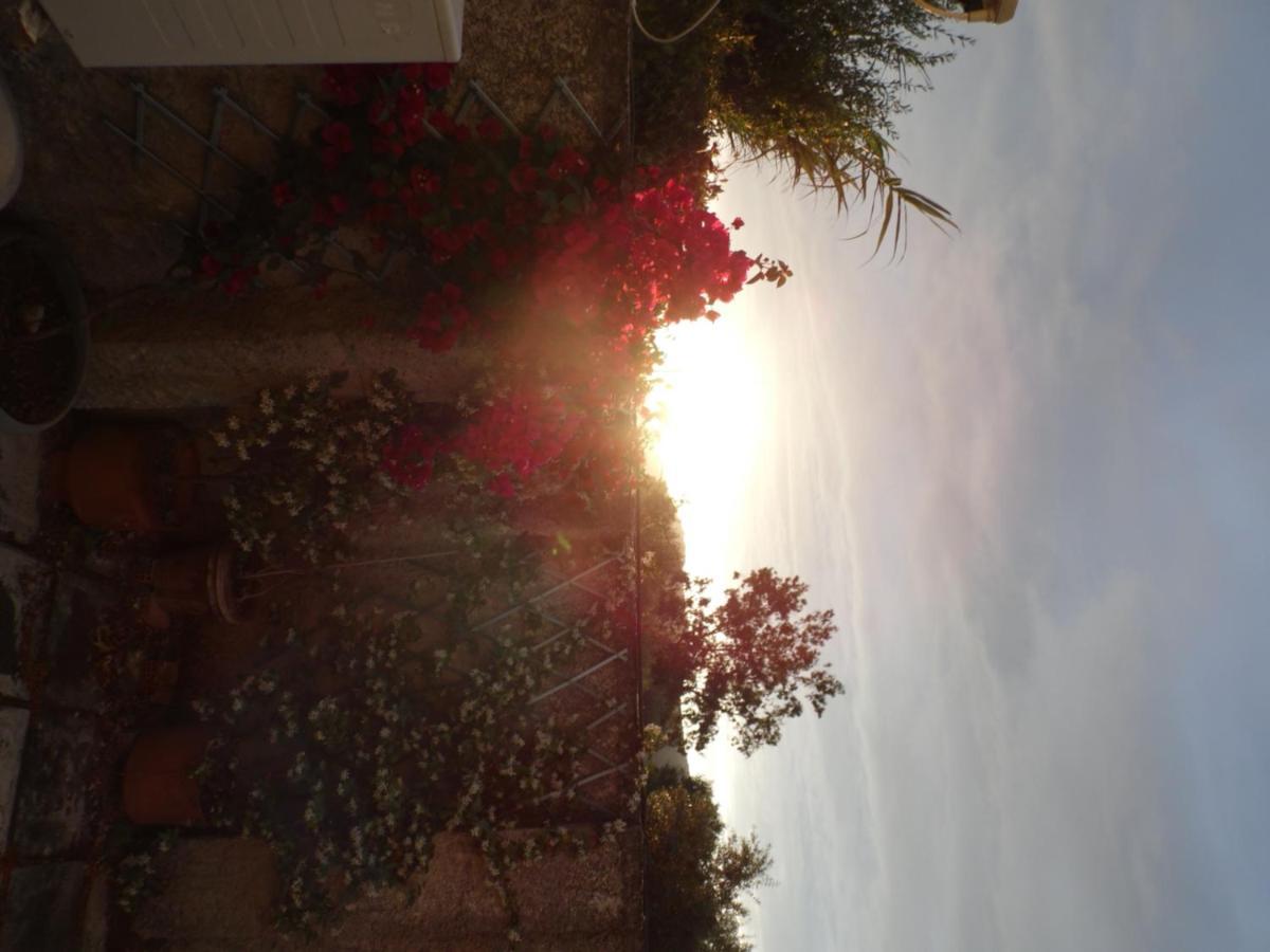 Theni Olive Grove Villa Kato Yerakarion Екстериор снимка