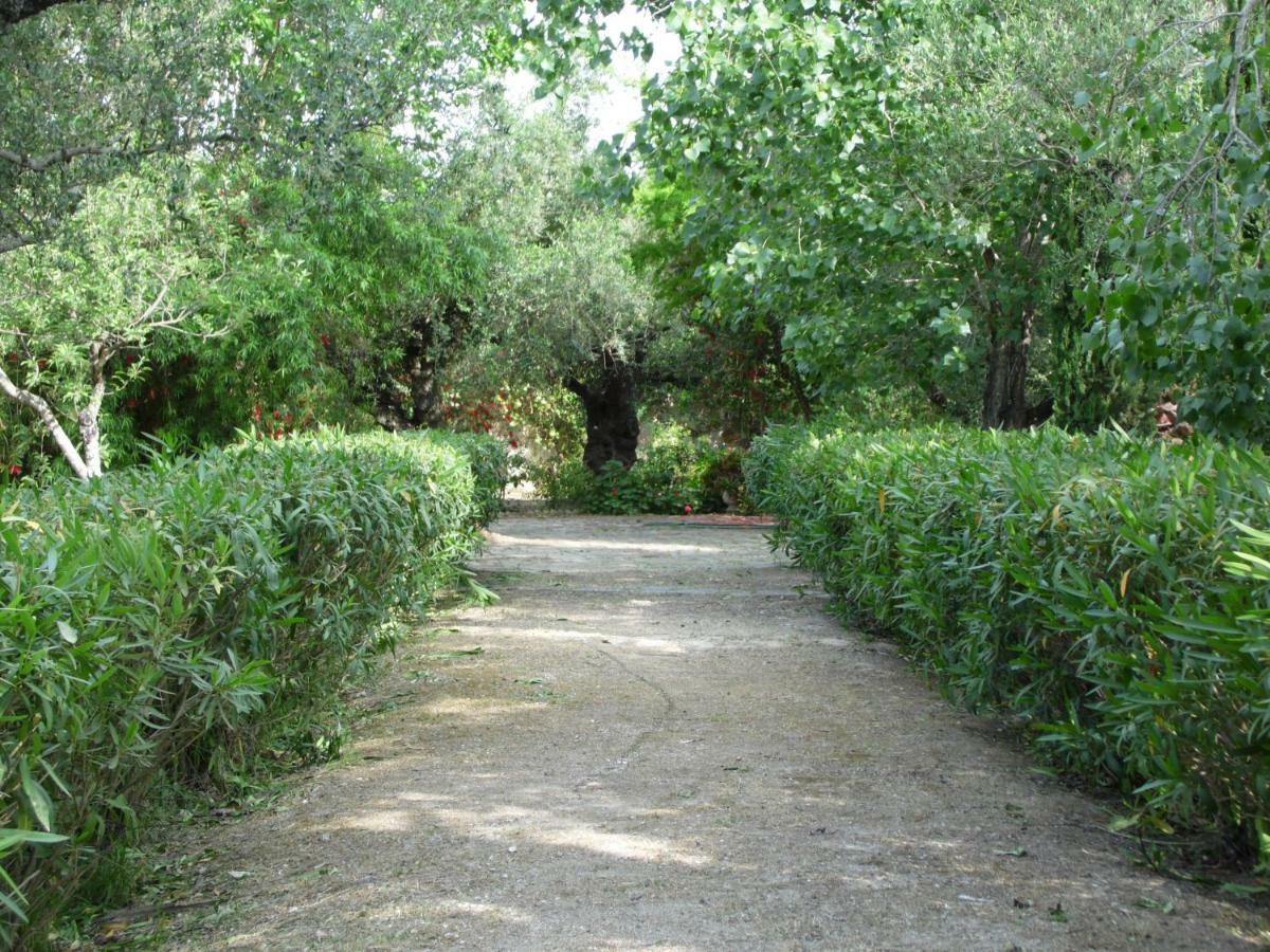 Theni Olive Grove Villa Kato Yerakarion Екстериор снимка