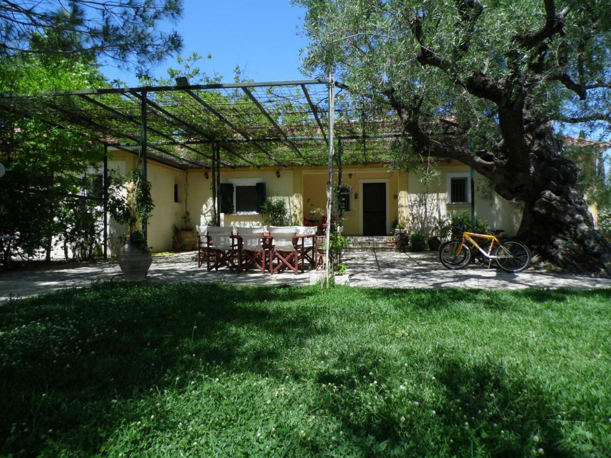 Theni Olive Grove Villa Kato Yerakarion Екстериор снимка