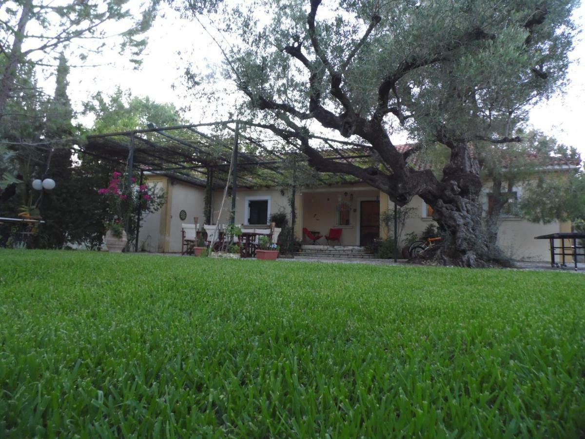 Theni Olive Grove Villa Kato Yerakarion Екстериор снимка